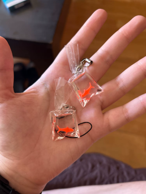 Pet Fish
