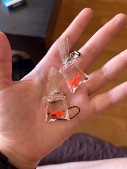 Pet Fish